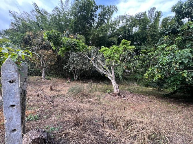 Lote en venta en Ruitoque, Piedecuesta, 1315 m² · foto 19 de 22