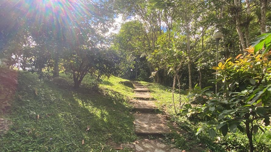 Apartamento de 2 alcobas en venta en Calambeo, Ibagué, 101 m² · foto 13 de 19