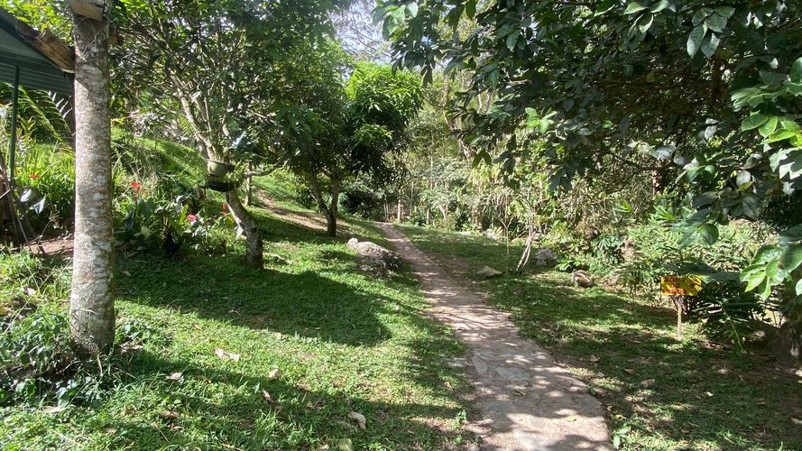 Apartamento de 2 alcobas en venta en Calambeo, Ibagué, 101 m² · foto 18 de 19