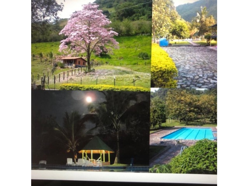 Finca en venta en La pintada 3