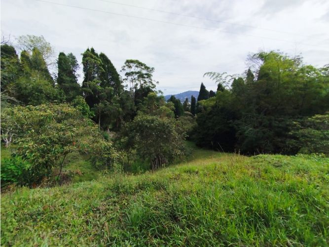 Lote en venta en Hojas Anchas, Guarne, 7602 m² · foto 2 de 18