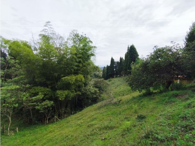 Lote en venta en Hojas Anchas, Guarne, 7602 m² · foto 4 de 18