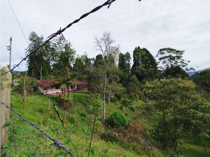 Lote en venta en Hojas Anchas, Guarne, 7602 m² · foto 5 de 18