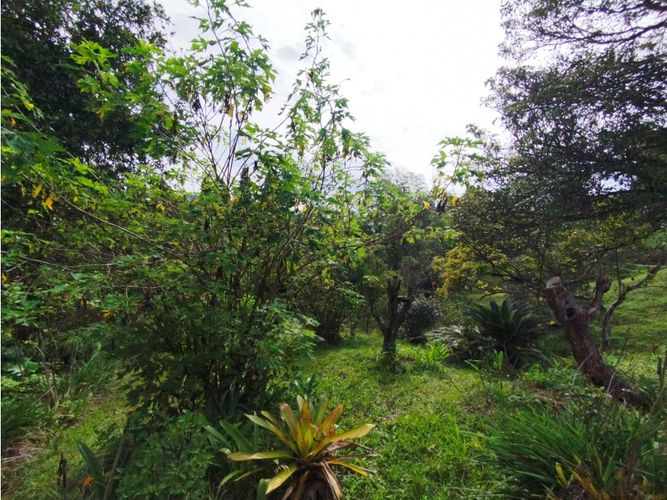 Lote en venta en Hojas Anchas, Guarne, 7602 m² · foto 6 de 18