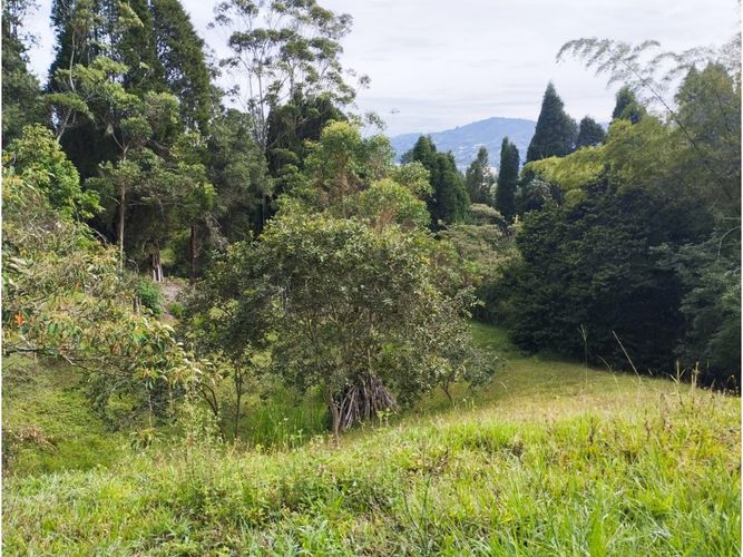 Lote en venta en Hojas Anchas, Guarne, 7602 m² · foto 7 de 18