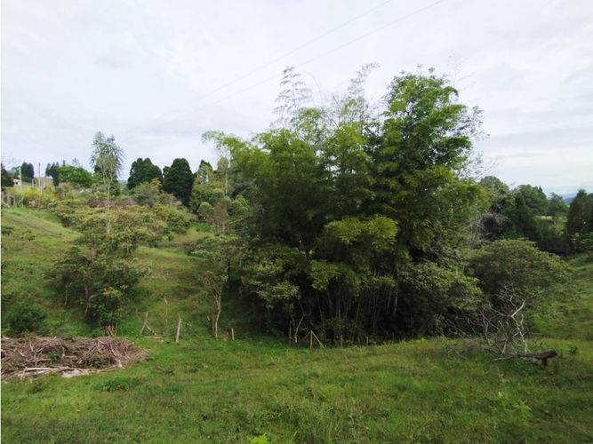 Lote en venta en Hojas Anchas, Guarne, 7602 m² · foto 8 de 18