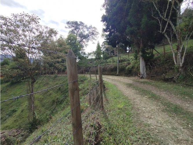 Lote en venta en Hojas Anchas, Guarne, 7602 m² · foto 10 de 18