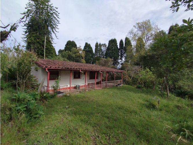 Lote en venta en Hojas Anchas, Guarne, 7602 m² · foto 11 de 18