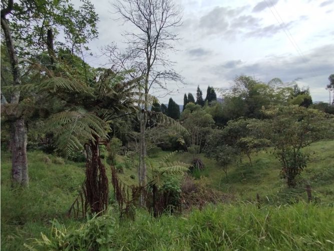 Lote en venta en Hojas Anchas, Guarne, 7602 m² · foto 12 de 18