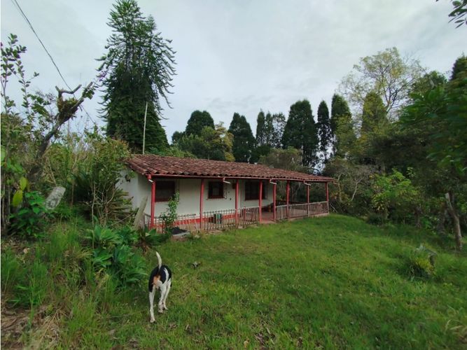Lote en venta en Hojas Anchas, Guarne, 7602 m² · foto 13 de 18