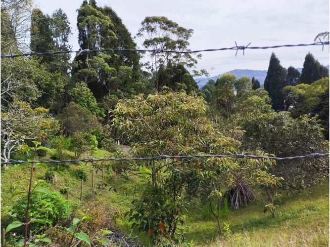 Lote en venta en Hojas Anchas, Guarne, 7602 m² · foto 14 de 18