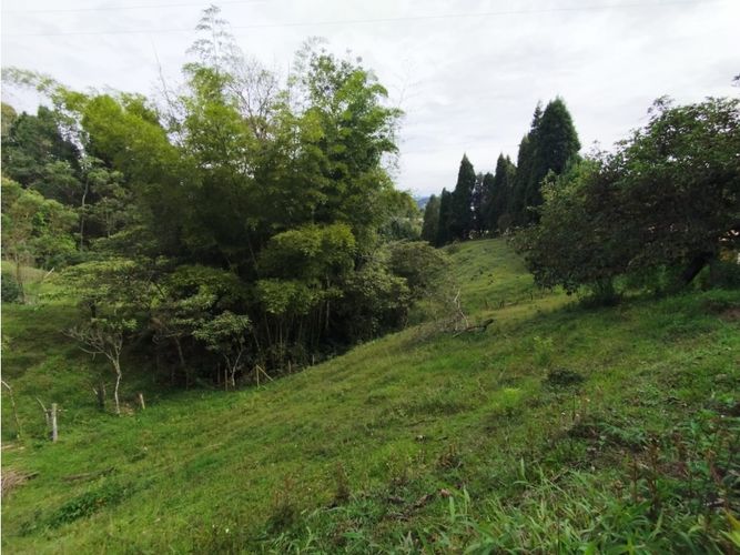 Lote en venta en Hojas Anchas, Guarne, 7602 m² · foto 15 de 18