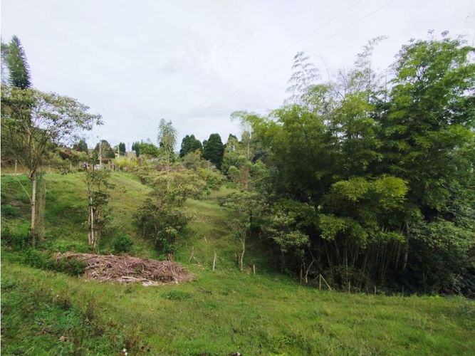 Lote en venta en Hojas Anchas, Guarne, 7602 m² · foto 16 de 18