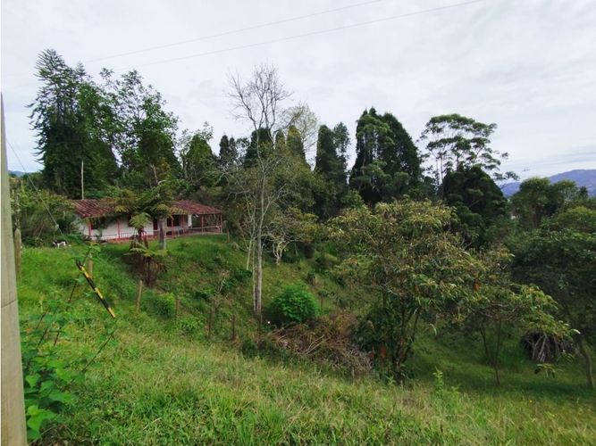 Lote en venta en Hojas Anchas, Guarne, 7602 m² · foto 17 de 18