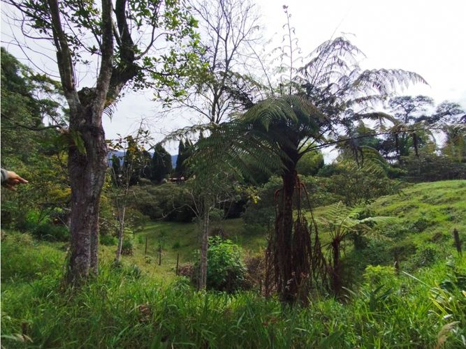 Lote en venta en Hojas Anchas, Guarne, 7602 m² · foto 18 de 18