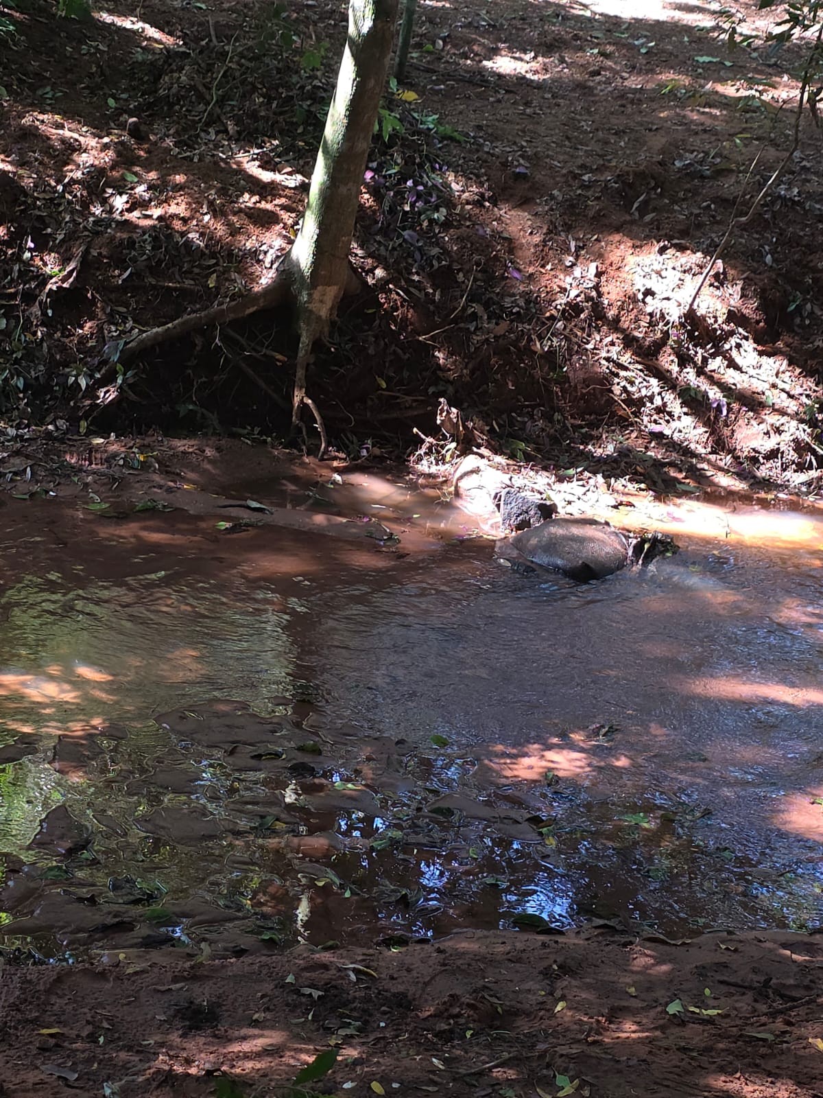 Terreno en venta en Pirayú — foto 3