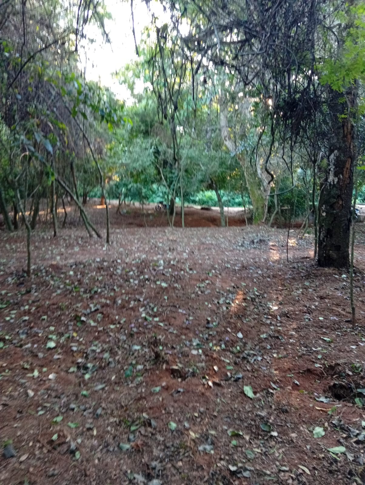 Terreno en venta en Pirayú — foto 2