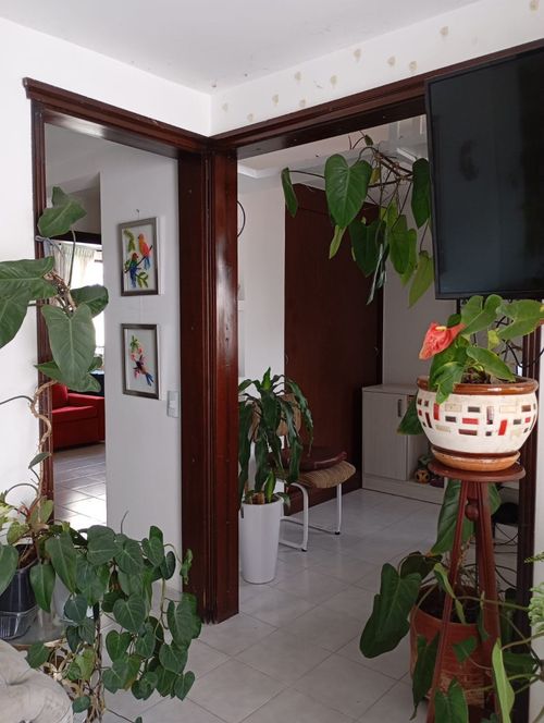 Apartamento de 3 alcobas en venta en El Ingenio, Cali, 70 m² · foto 14 de 24