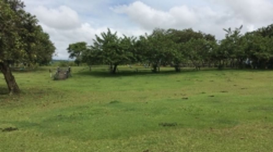 Lote en venta en Cerritos, Pereira, 11400 m² · foto 2 de 10