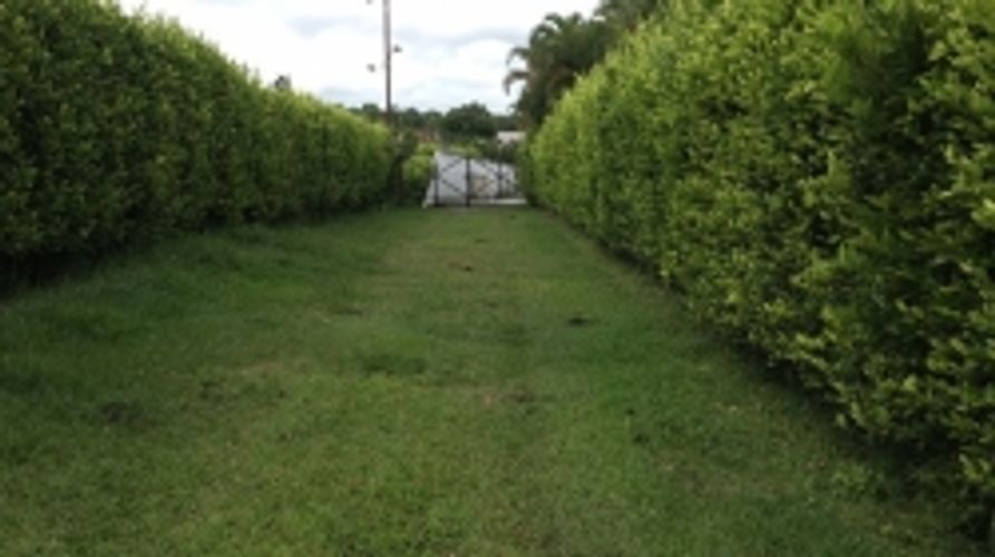 Lote en venta en Cerritos, Pereira, 11400 m² · foto 3 de 10