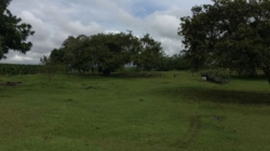 Lote en venta en Cerritos, Pereira, 11400 m² · foto 4 de 10