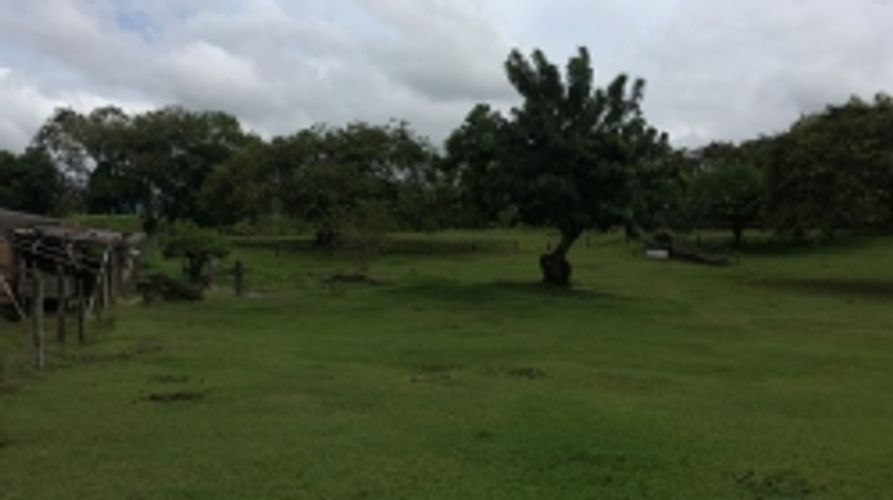 Lote en venta en Cerritos, Pereira, 11400 m² · foto 5 de 10