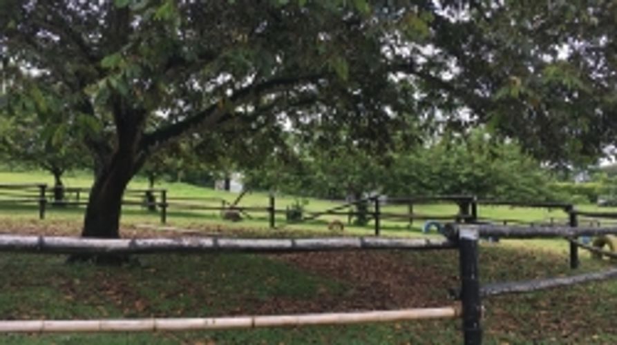 Lote en venta en Cerritos, Pereira, 11400 m² · foto 6 de 10