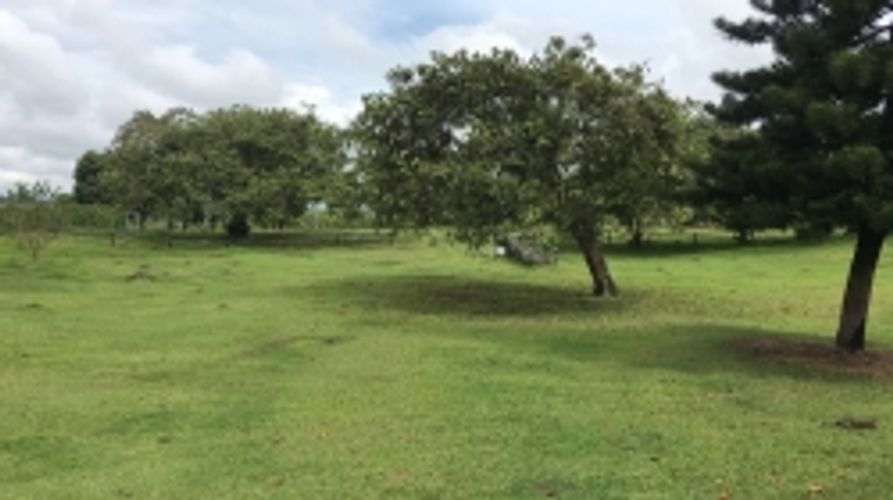 Lote en venta en Cerritos, Pereira, 11400 m² · foto 7 de 10
