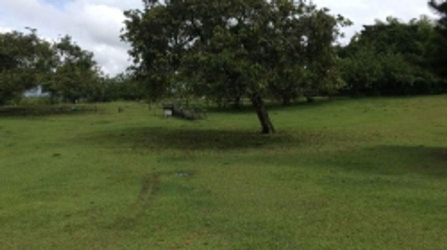 Lote en venta en Cerritos, Pereira, 11400 m² · foto 8 de 10