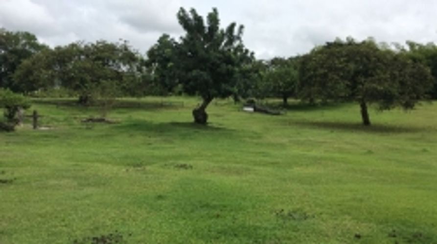 Lote en venta en Cerritos, Pereira, 11400 m² · foto 9 de 10