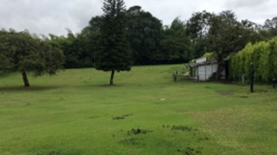 Lote en venta en Cerritos, Pereira, 11400 m² · foto 10 de 10