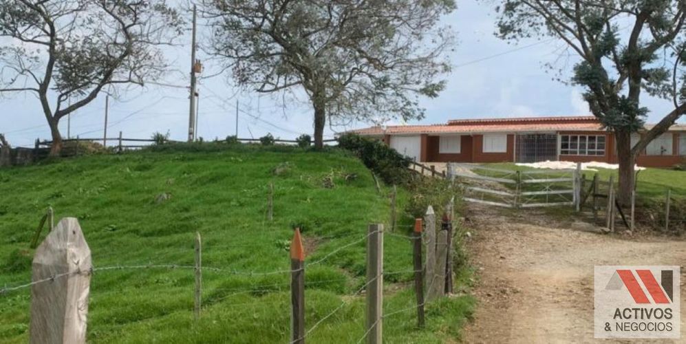 Finca en venta en San Felix, Bello, 32000 m² · foto 2 de 18