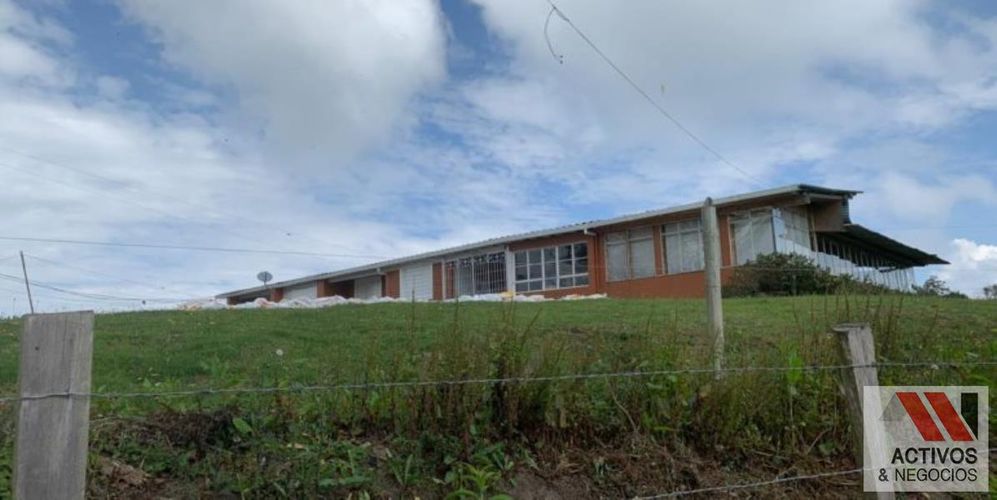 Finca en venta en San Felix, Bello, 32000 m² · foto 3 de 18