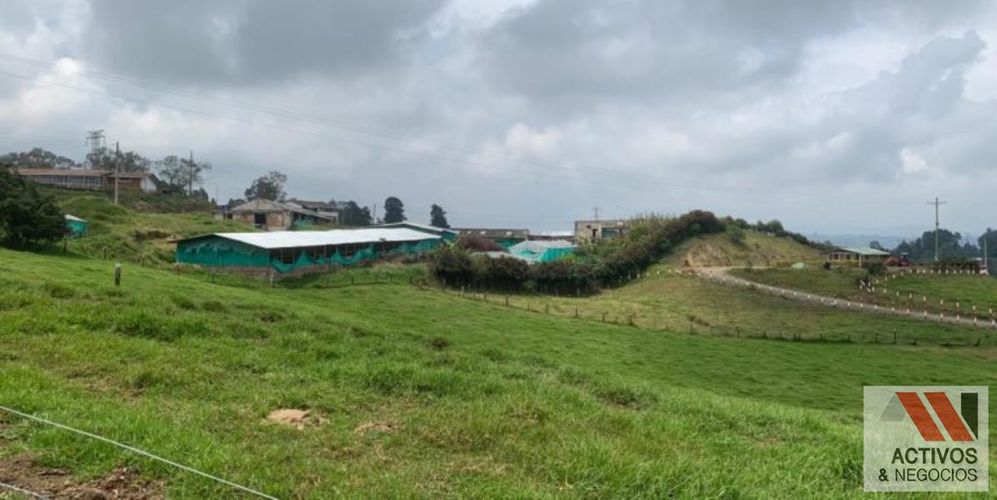 Finca en venta en San Felix, Bello, 32000 m² · foto 5 de 18