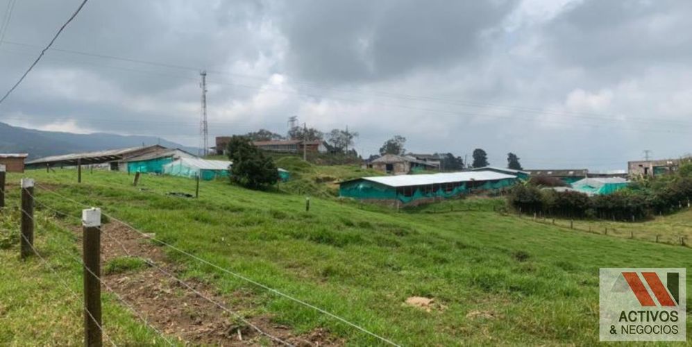 Finca en venta en San Felix, Bello, 32000 m² · foto 6 de 18