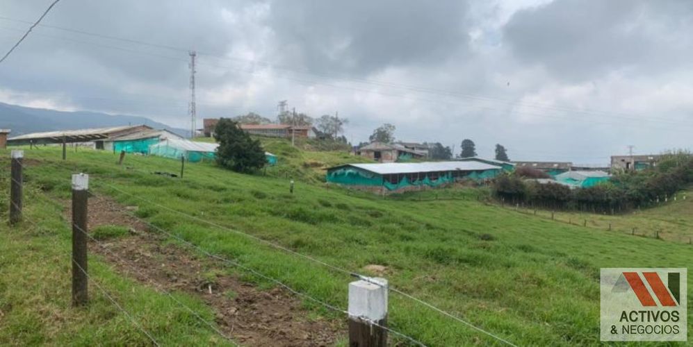 Finca en venta en San Felix, Bello, 32000 m² · foto 7 de 18