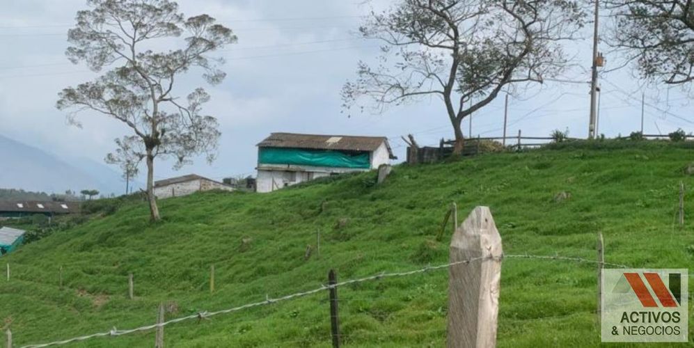 Finca en venta en San Felix, Bello, 32000 m² · foto 8 de 18