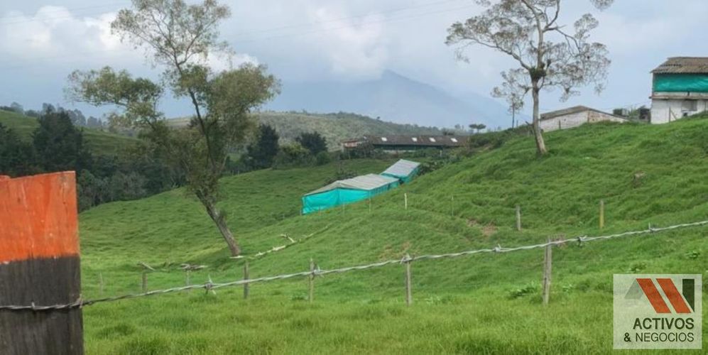 Finca en venta en San Felix, Bello, 32000 m² · foto 9 de 18