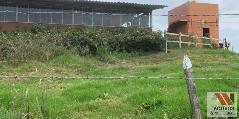 Finca en venta en San Felix, Bello, 32000 m² · foto 10 de 18