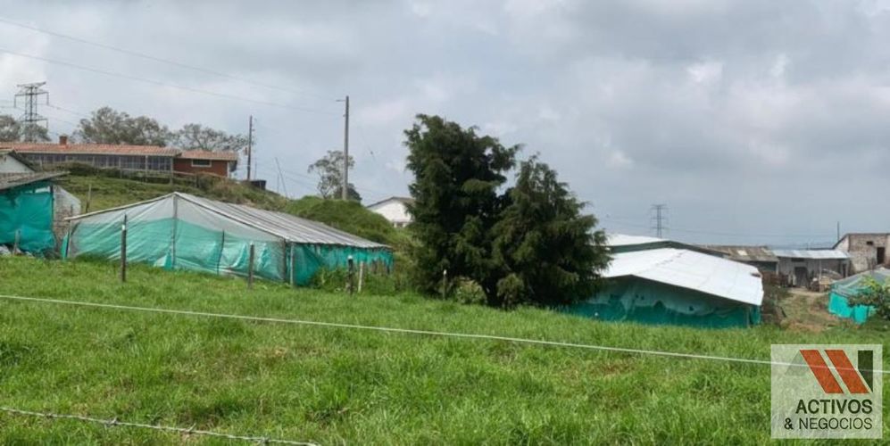 Finca en venta en San Felix, Bello, 32000 m² · foto 11 de 18