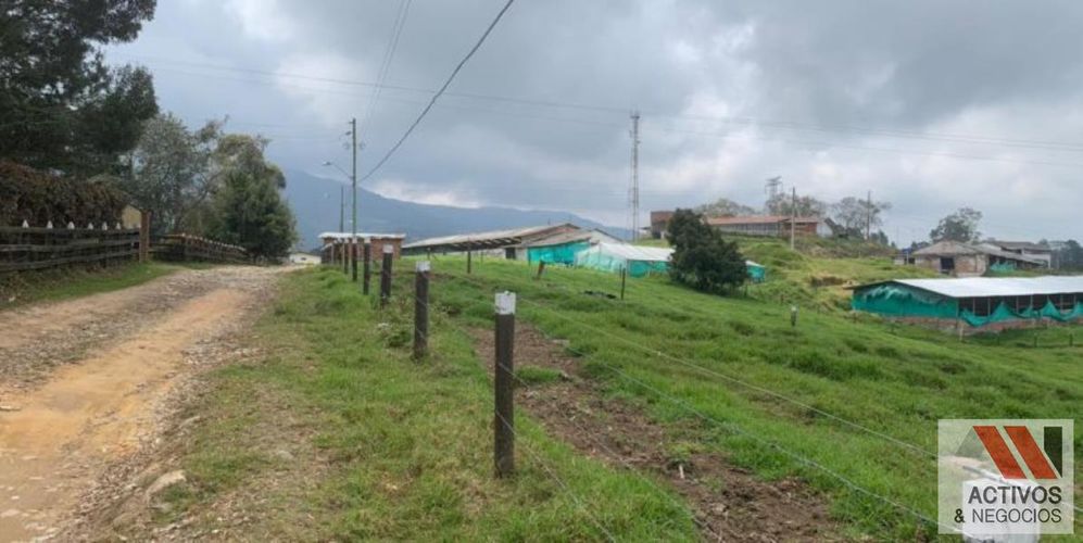 Finca en venta en San Felix, Bello, 32000 m² · foto 12 de 18