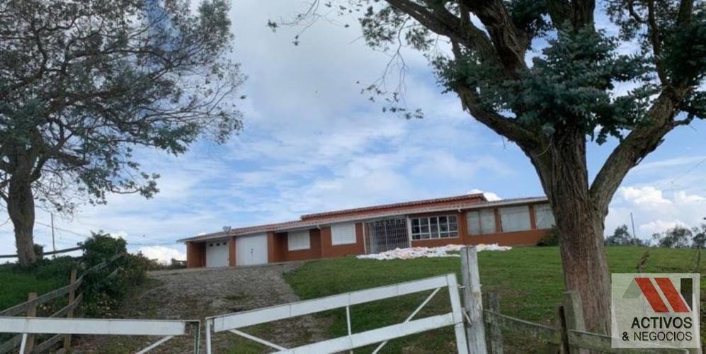 Finca en venta en San Felix, Bello, 32000 m² · foto 13 de 18