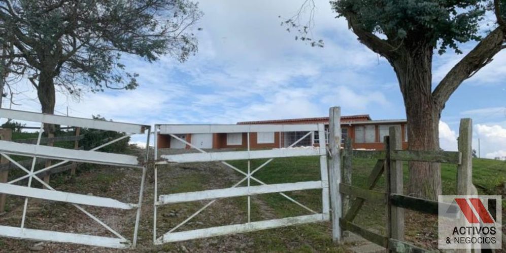 Finca en venta en San Felix, Bello, 32000 m² · foto 14 de 18
