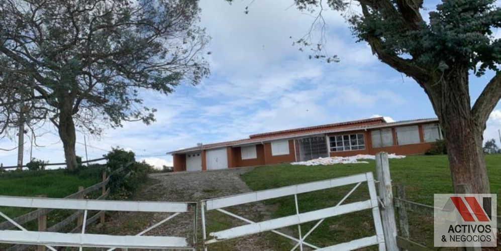 Finca en venta en San Felix, Bello, 32000 m² · foto 15 de 18
