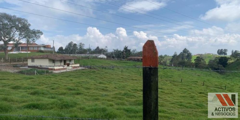 Finca en venta en San Felix, Bello, 32000 m² · foto 16 de 18