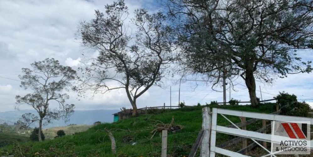 Finca en venta en San Felix, Bello, 32000 m² · foto 17 de 18