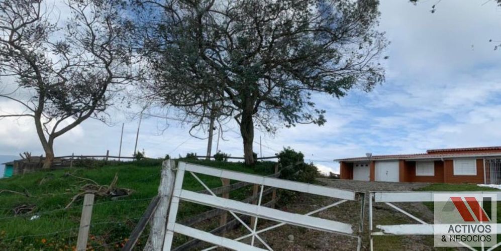Finca en venta en San Felix, Bello, 32000 m² · foto 18 de 18