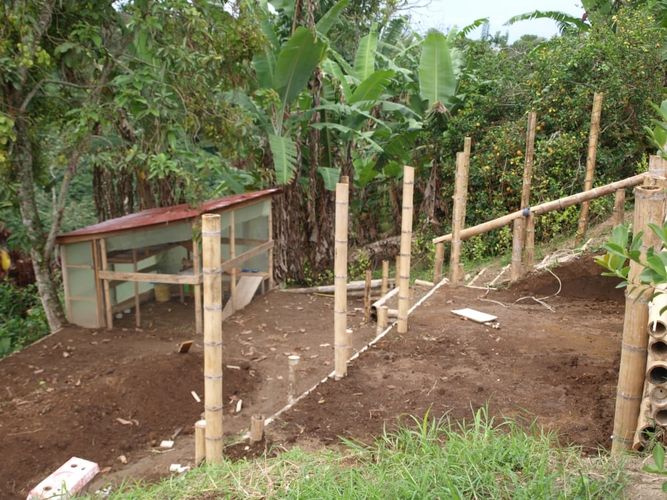 Finca en venta en Arabia, Pereira, 2400 m² · foto 12 de 13