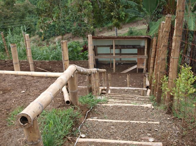 Finca en venta en Arabia, Pereira, 2400 m² · foto 13 de 13