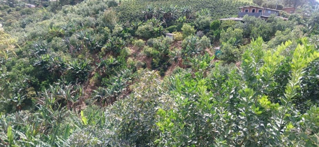 Casa de 3 alcobas en venta en Nazareth, El Retiro, 85 m² · foto 20 de 24